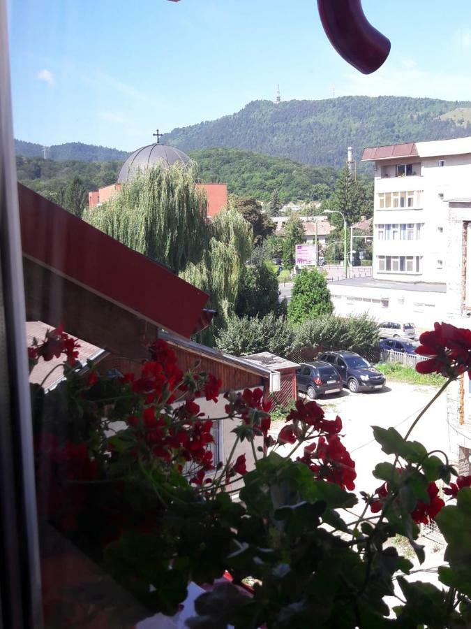 Felicita * Braşov